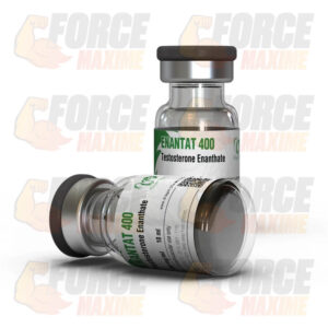 Enantat 400 Dragon Pharma Testosterone Enanthate (400 mg/ml)