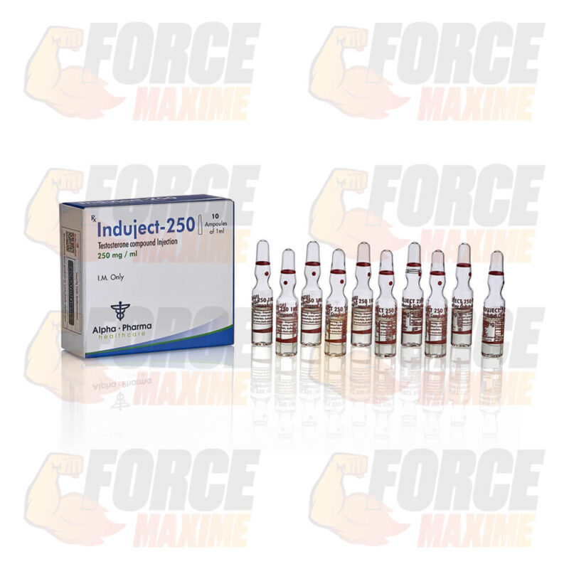 Induject-250 Alpha-Pharma Sustanon (250 mg/ml)