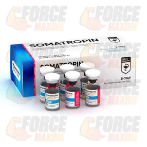 Somatropine HGH Poudre Hilma Biocare (100 IU)