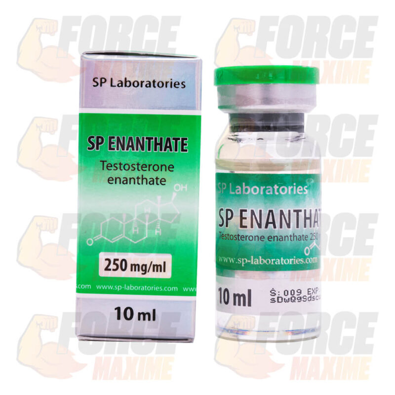 Testosterone Enanthate SP Labs (250 mg/ml)