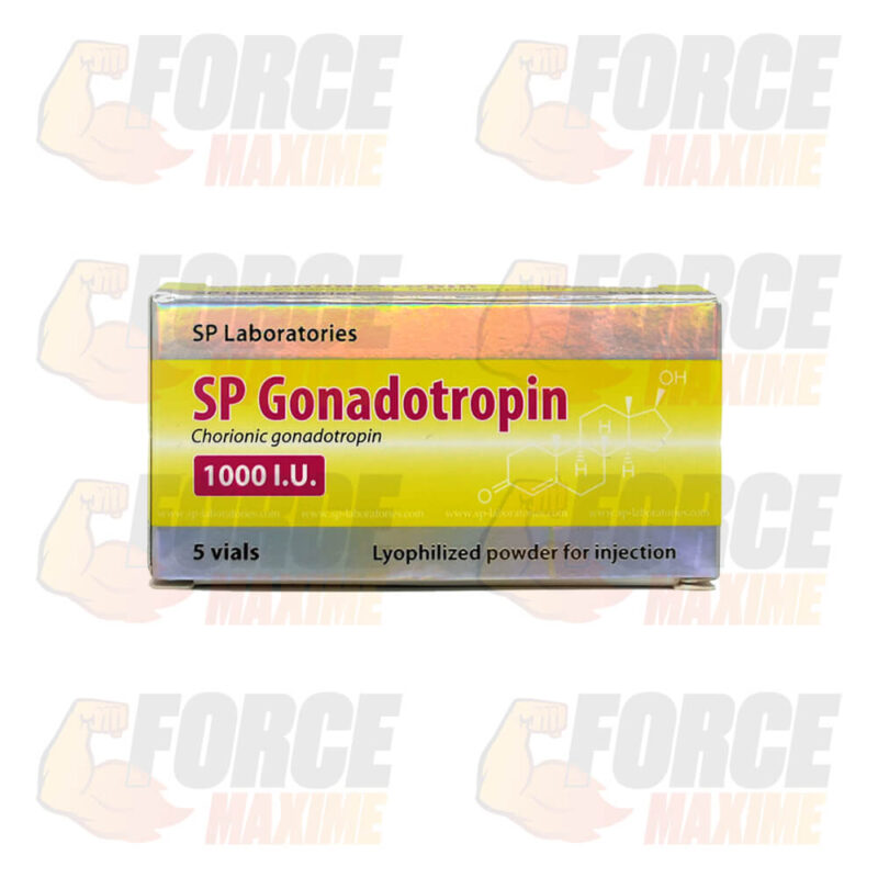 SP Gonadotropin SP Labs Gonadotrophine (1000 IU)