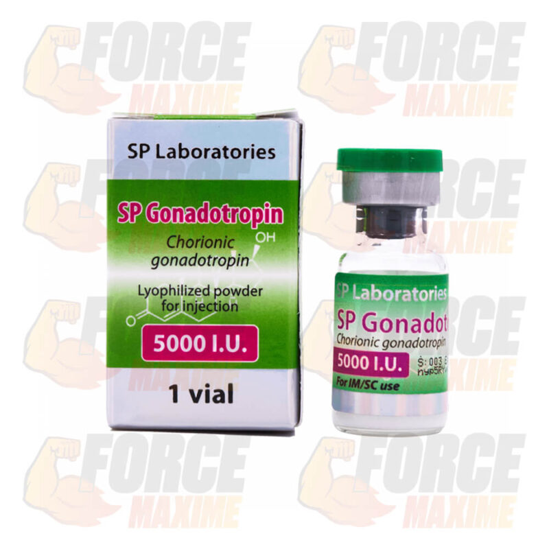 SP Gonadotropin SP Labs Gonadotrophine (5000 IU)