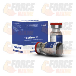 Testirox E Cipla Testosterone Enanthate (250 mg/ml)