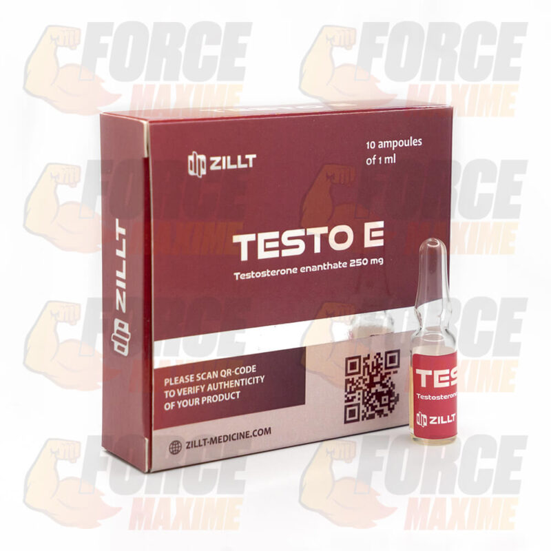 Testo E Zillt Medicine Testosterone Enanthate (250 mg/ml)