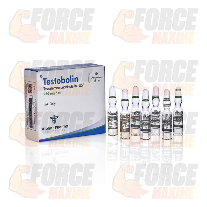 Testobolin Alpha-Pharma Testosterone Enanthate (250 mg/ml)