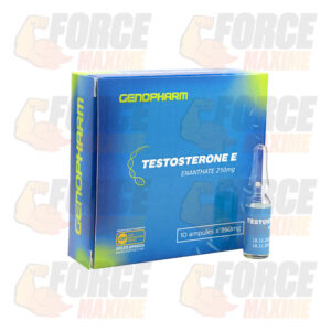 Testosterone Enanthate Genopharm (250 mg/ml)